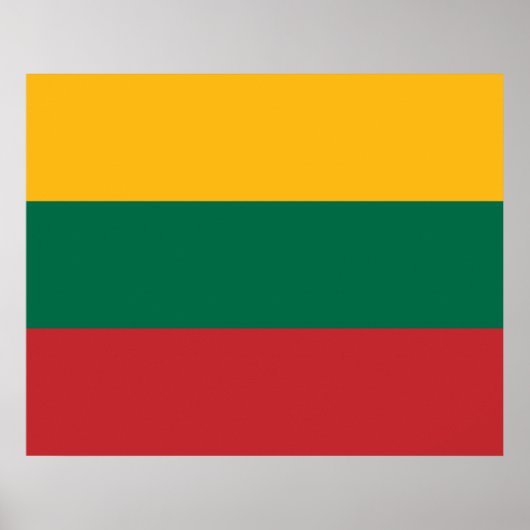 Litouwse vlag poster (Voorkant)