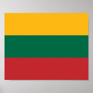 Litouwse vlag poster