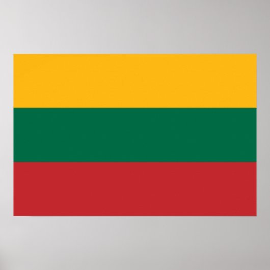 Litouwse vlag poster (Voorkant)