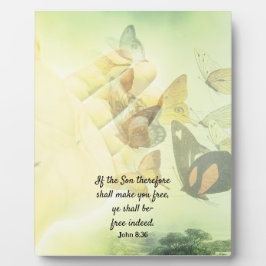 Littekenvlinder Fotoplaat