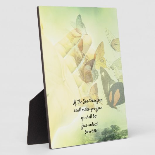 Littekenvlinder Fotoplaat (Zijkant)