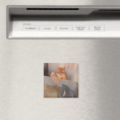 Litter Inspecteur Magneet (Insitu (Vaatwasser))