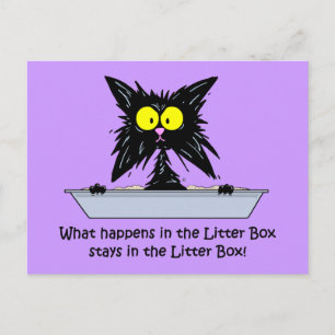 Litterbox Cat Briefkaart