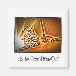 LitterBoxBlowOut Magneet