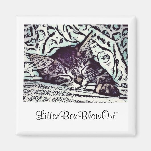 LitterBoxBlowOut Magneet (Voorkant)