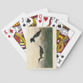 Little Auk (Dovekie) - Audubon's Birds of America Pokerkaarten (Achterkant)