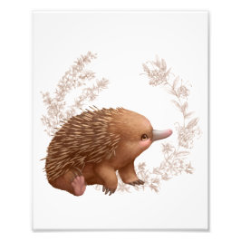 Little Aussie Friends - Echidna Foto Afdruk