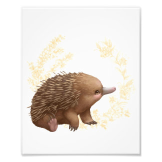 Little Aussie Friends - Echidna Foto Afdruk