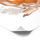 Little Aussie Friends - Kangaroo Foto Afdruk (Hoek)