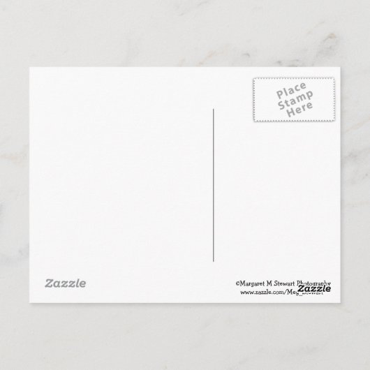 Little Baby Chipmunk Excellence Quote Briefkaart (Achterkant)