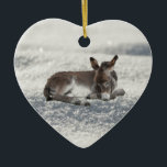 Little Baby Donkey in Snow Keramisch Ornament<br><div class="desc">Slaap kleine baby grijze ezel in de sneeuw.</div>