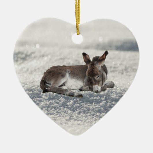 Little Baby Donkey in Snow Keramisch Ornament (Voorkant)