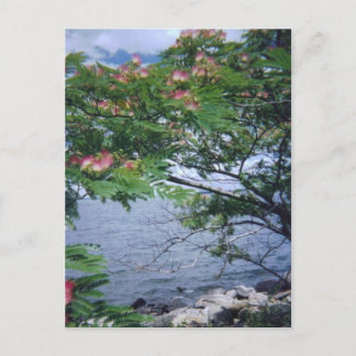 Little Bay Park, Queens, NY Briefkaart