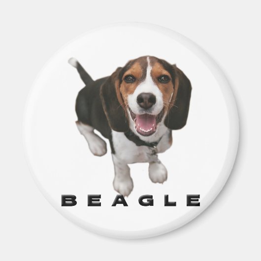 Little Beagle Magneet (Voorkant)