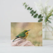 Little Bee-Eater Briefkaart (Staand voorkant)