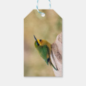 Little Bee-Eater Cadeaulabel (Voorkant)