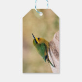 Little Bee-Eater Cadeaulabel (Achterkant)