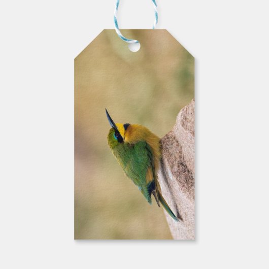 Little Bee-Eater Cadeaulabel (Achterkant)
