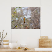 Little Bee-eater on Branch – African Bird Poster (Keuken)