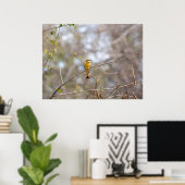Little Bee-eater on Branch – African Bird Poster (Thuiskantoor)
