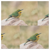 Little Bee-Eater Stof (Close Up)