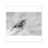Little Bee-Eater Zelfinktende Stempel (Design)