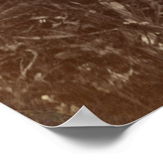 Little Beer, Cheyenne, 1875 Poster (Hoek)