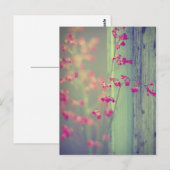 Little Bells Briefkaart (Voorkant / Achterkant)