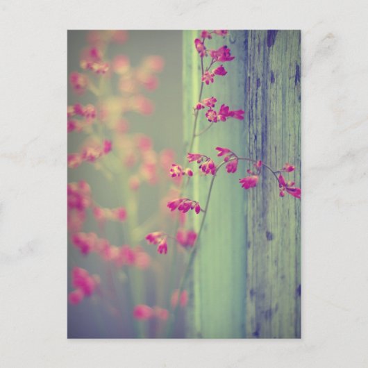 Little Bells Briefkaart (Voorkant)