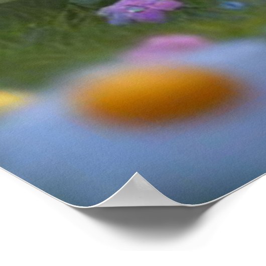 Little Beren Daisies 1 Poster (Hoek)