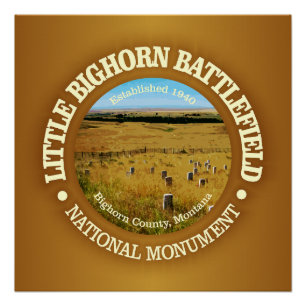 Little Bighorn Battlefield (NM) Perfect Poster