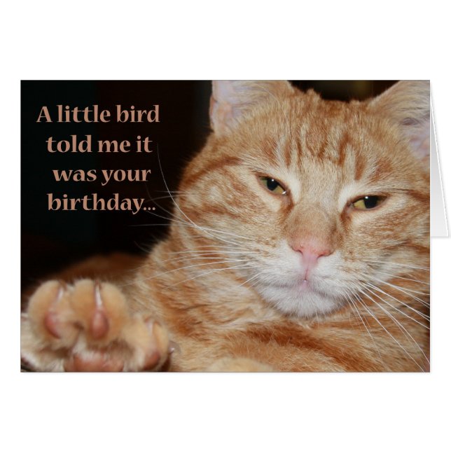 Little Bird (Voorkant Horizontaal)