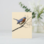 Little Bird Blue, Briefkaart (Staand voorkant)