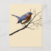 Little Bird Blue, Briefkaart (Voorkant)