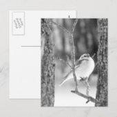 Little Bird Briefkaart (Voorkant / Achterkant)