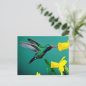Little Bird Briefkaart (Staand voorkant)