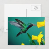 Little Bird Briefkaart (Voorkant / Achterkant)