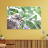 Little Bird Canvas Art Afdruk (Insitu (Woonkamer))