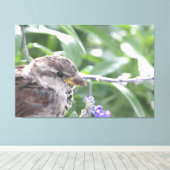 Little Bird Canvas Art Afdruk (Insitu (Houten vloer))