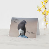 Little Bird Happy Birthday Kaart (Gele Bloem)