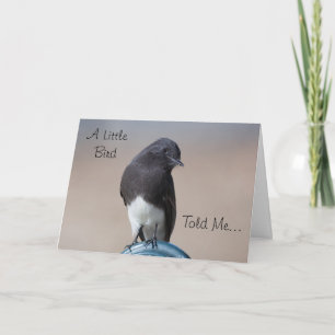 Little Bird Happy Birthday Kaart