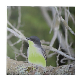 Little Bird Keramische Tegel Tegeltje