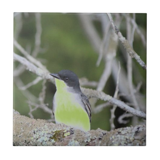 Little Bird Keramische Tegel Tegeltje (Voorkant)