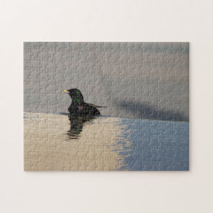 Little Bird Legpuzzel