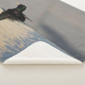 Little Bird on Water Sherpa Deken (3/4)