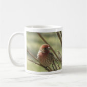 Little Bird op Canvas Koffiemok (Links)