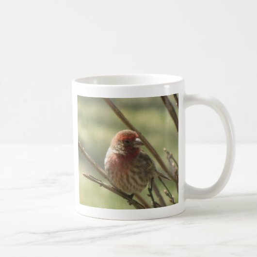Little Bird op Canvas Koffiemok (Rechts)