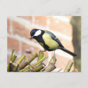 Little Bird op Top Close Up DIY Briefkaart