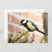 Little Bird op Top Close Up DIY Briefkaart (Voorkant / Achterkant)