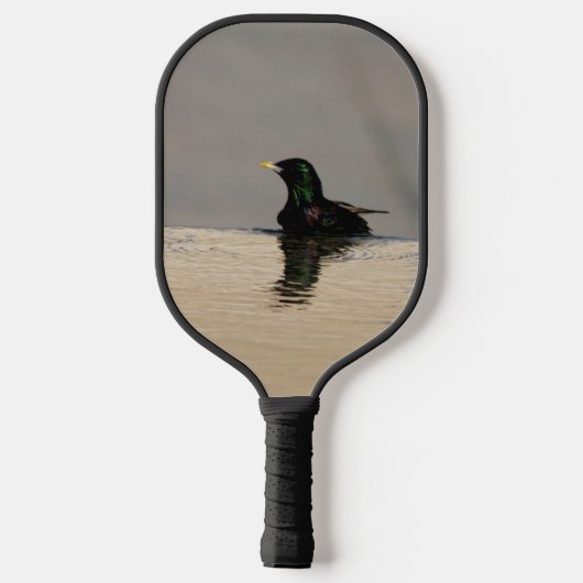 Little Bird Pickleball Paddle (Achterkant)